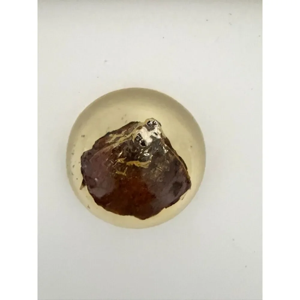 Vintage homemade paperweight with cloth or wood trapped inside